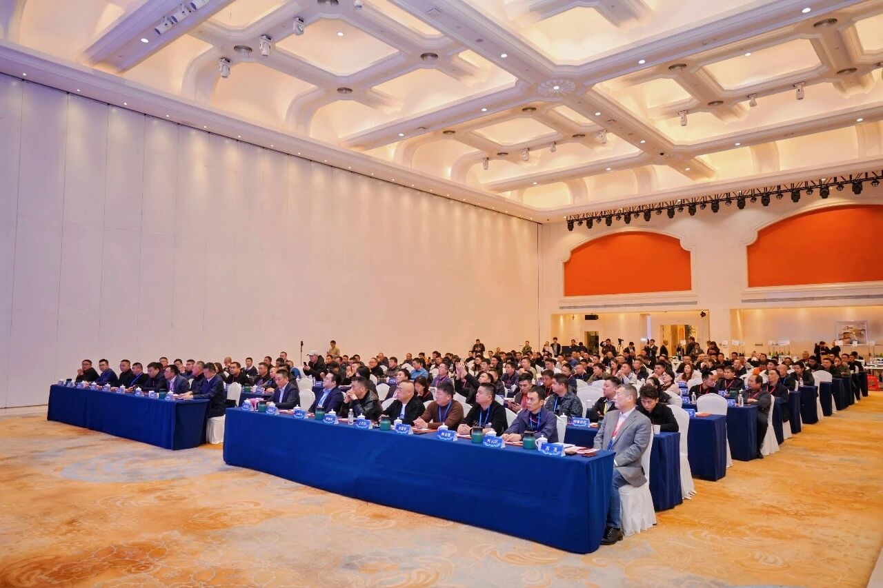 微信图片_2025-12-26_081739_128.jpg 微信图片_2025-12-26_081739_128.jpg